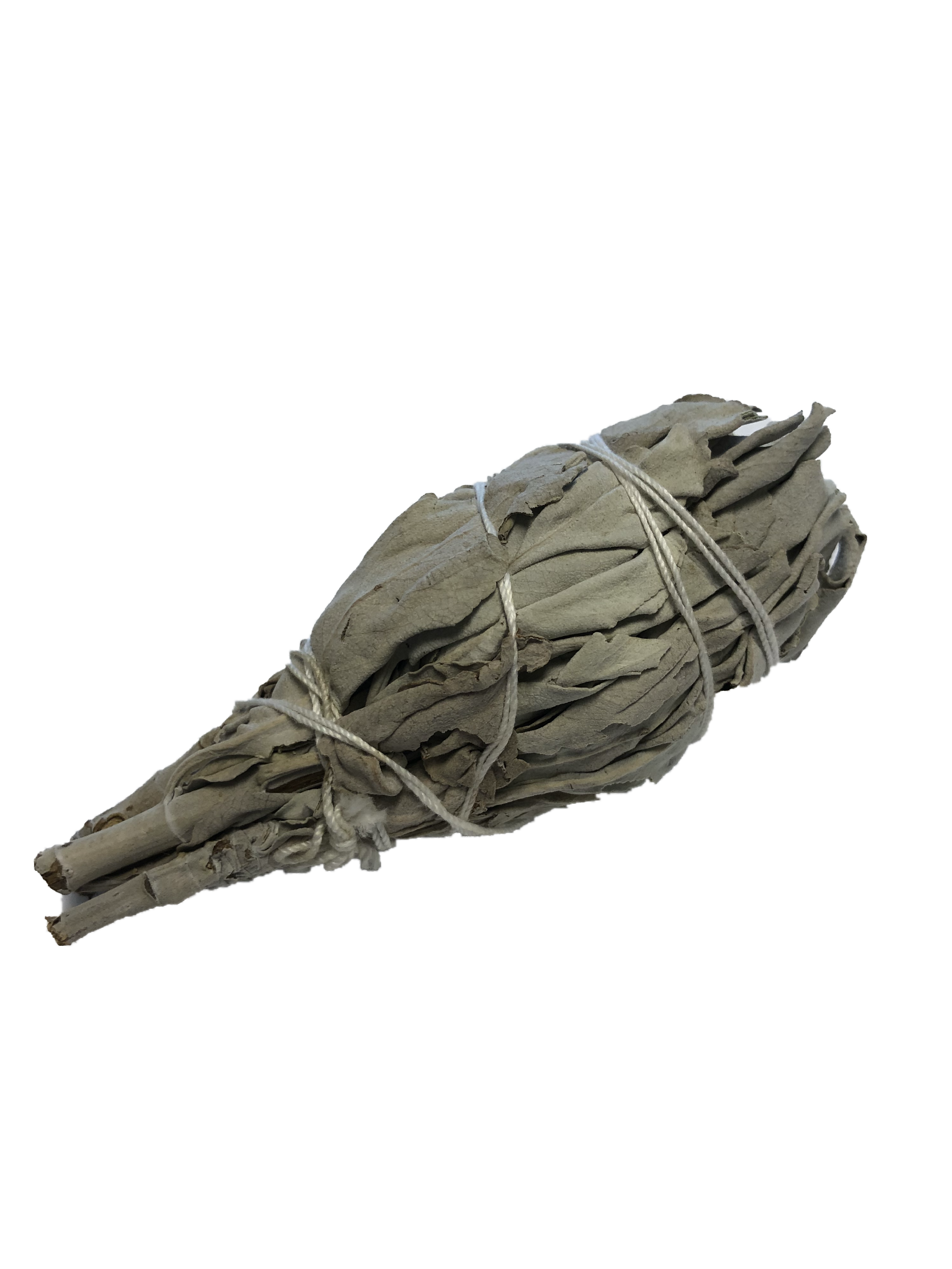 White Sage