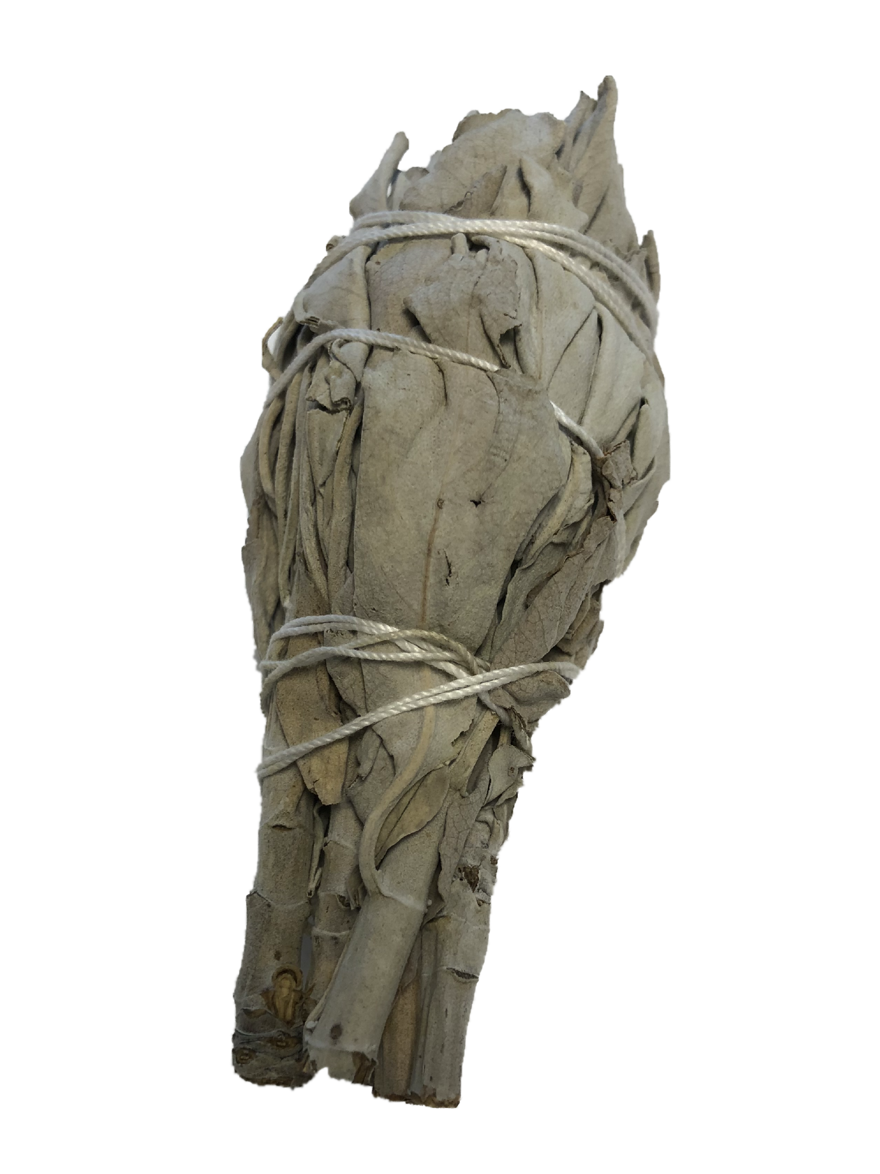 White Sage