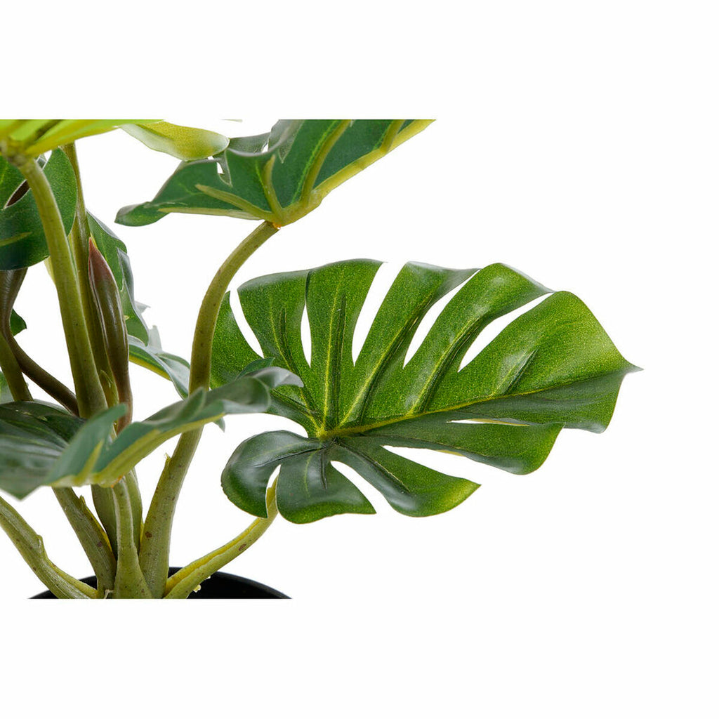 Decorative Plant DKD Home Decor PVC polypropylene 20 x 20 x 30 cm