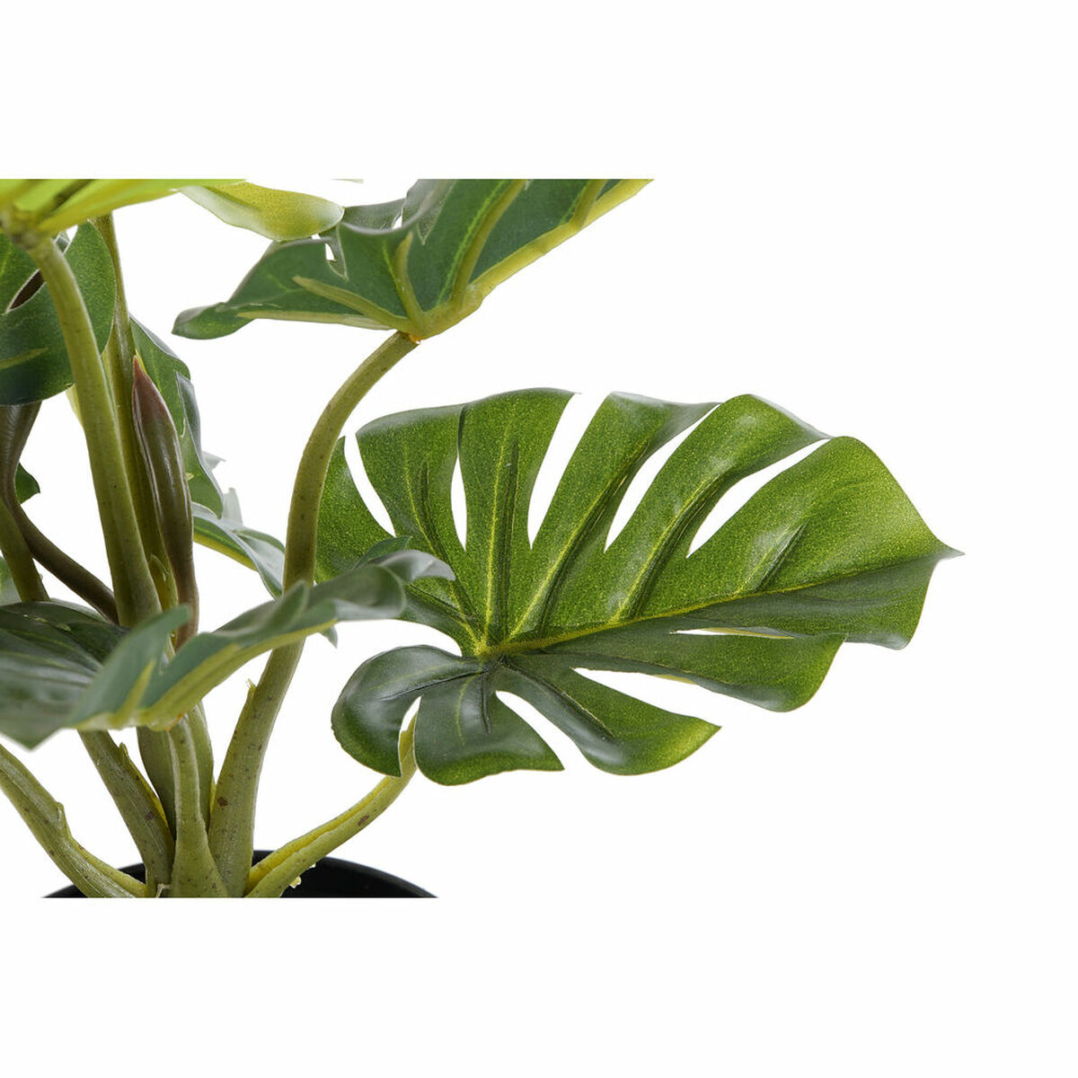 Decorative Plant DKD Home Decor PVC polypropylene 20 x 20 x 30 cm