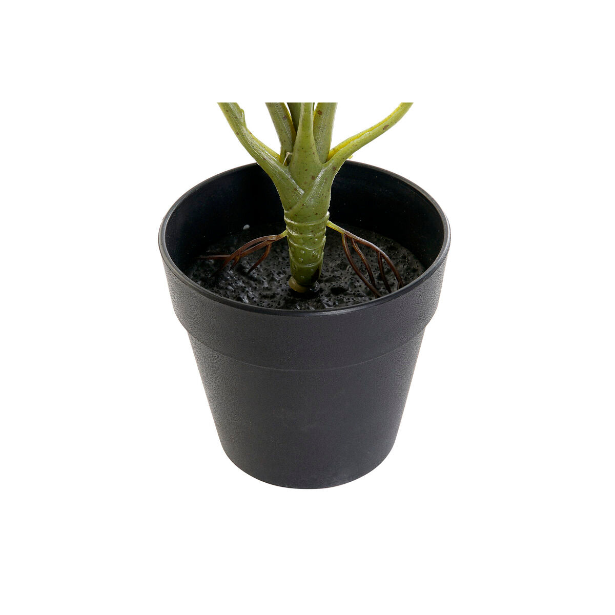 Decorative Plant DKD Home Decor PVC polypropylene 20 x 20 x 30 cm