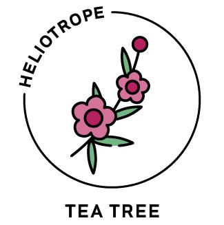 Essential Oil - Tea Tree